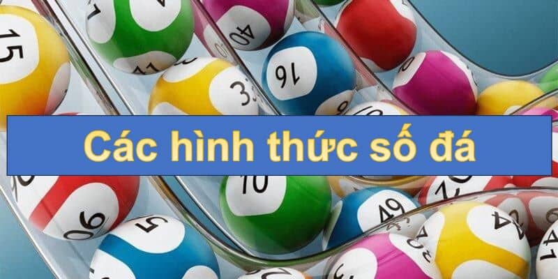 Các hình thức số đá phổ biến mà newbie cần nắm rõ