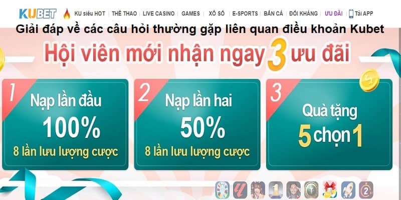 Giải đáp toàn bộ câu hỏi về điều khoản Kubet 2024