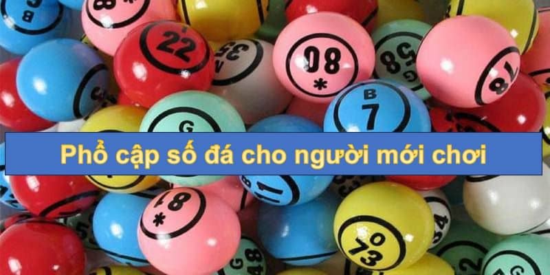 Phổ cập số đá cho người mới chơi